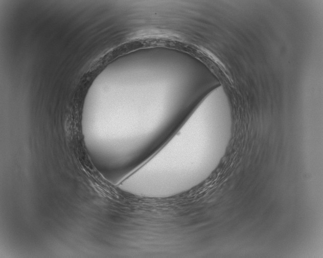 X0000076390775200610060903