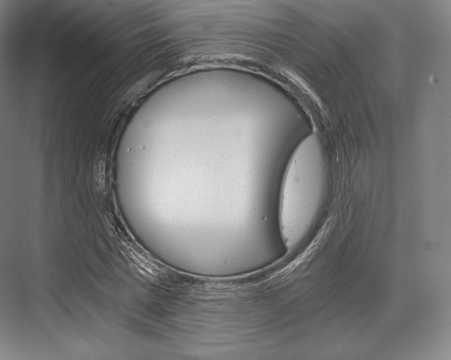 X0000076390777200610060903