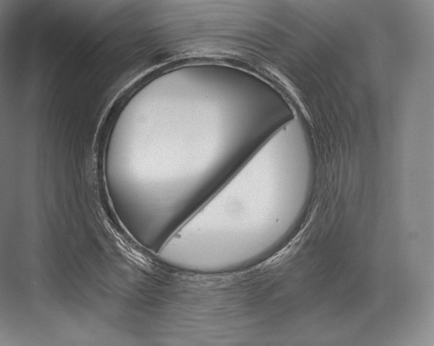 X0000076390779200610060903