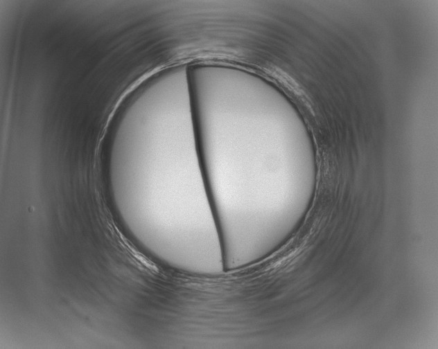X0000076390782200610060902