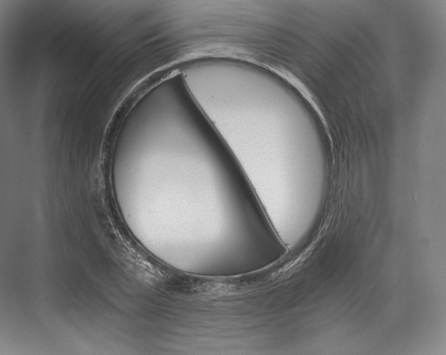X0000076390783200610060902