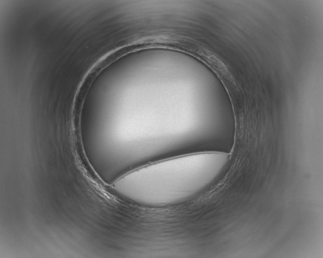 X0000076390784200610060902