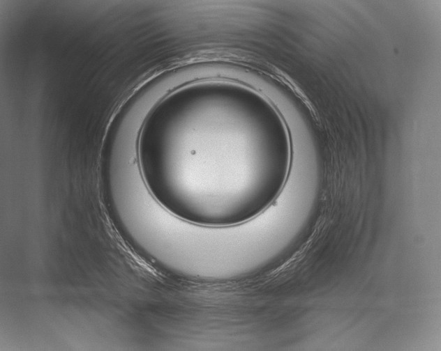X0000076390786200610060902