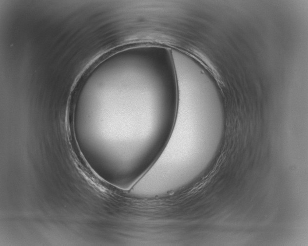 X0000076390788200610060902