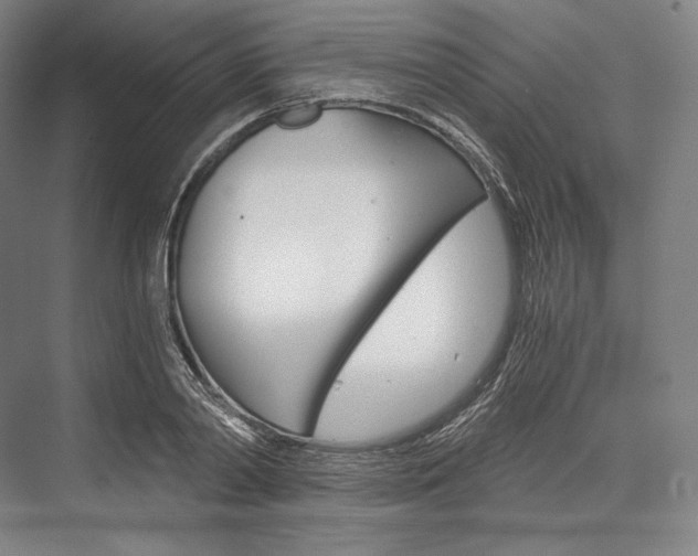 X0000076390790200610060902
