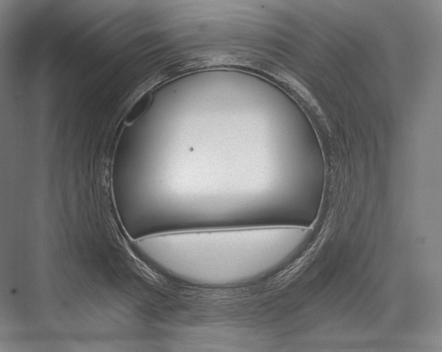 X0000076390793200610060902