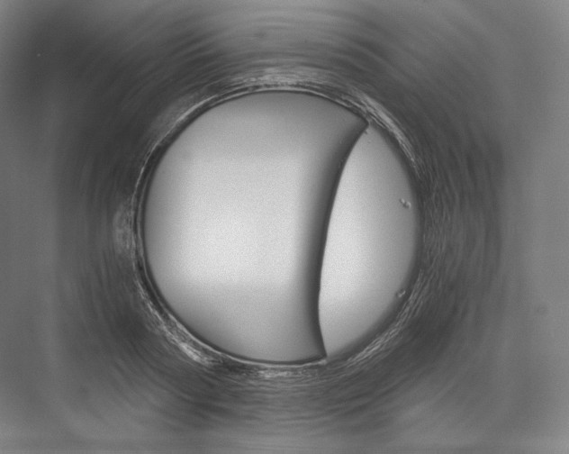 X0000076390794200610060902