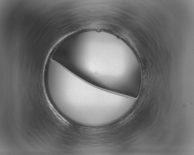 X0000076390795200610060902