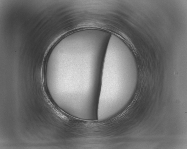 X0000076390796200610060902