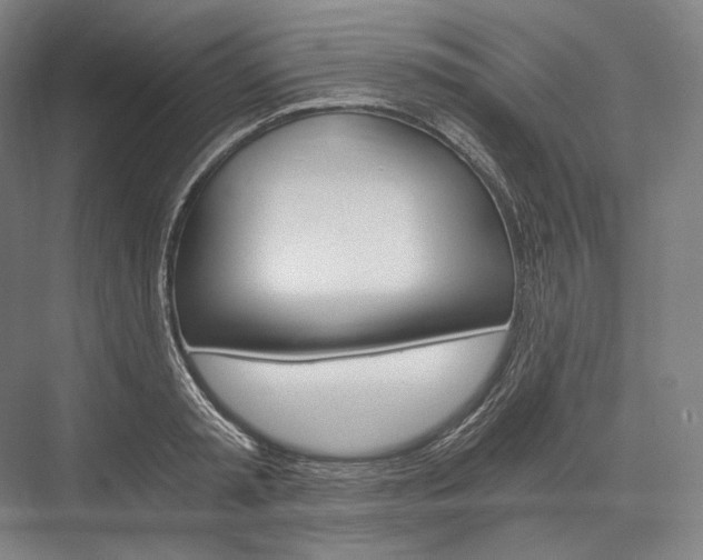 X0000076390797200610060902