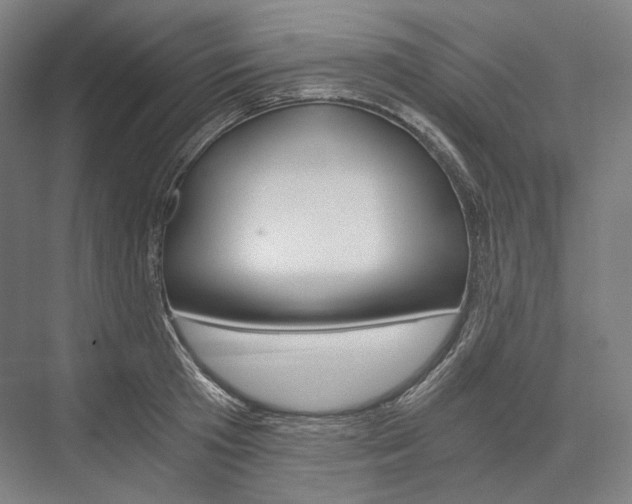 X0000076390801200610060902