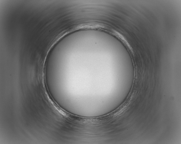 X0000076390802200610060902