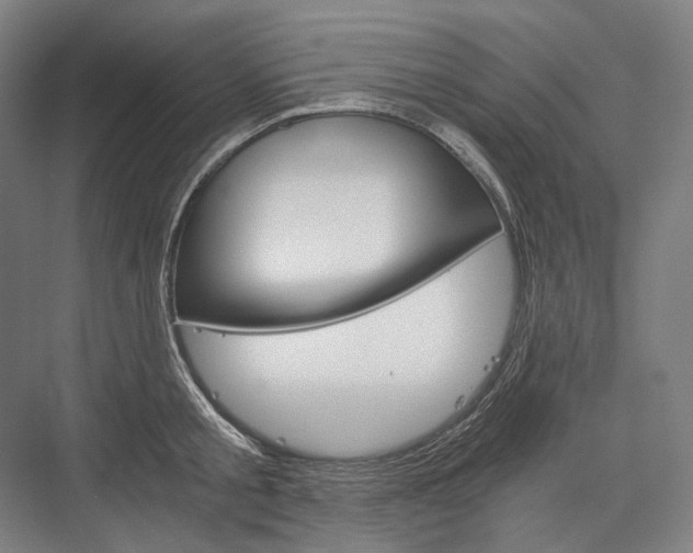 X0000076390805200610060902