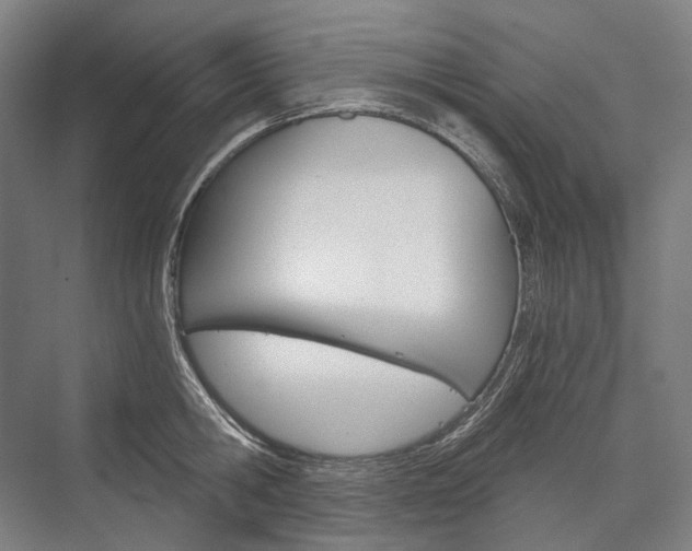 X0000076390806200610060902