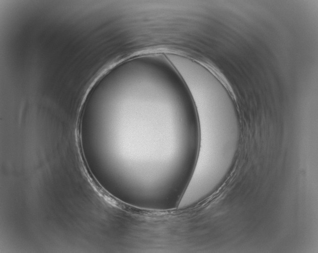 X0000076390813200610060902