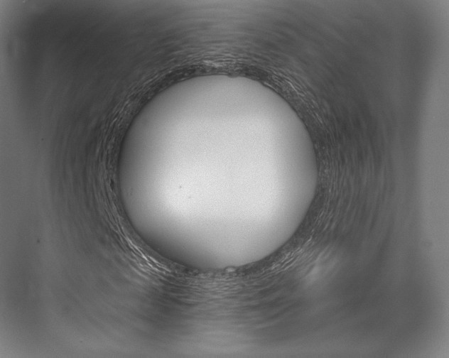 X0000076390817200610060901