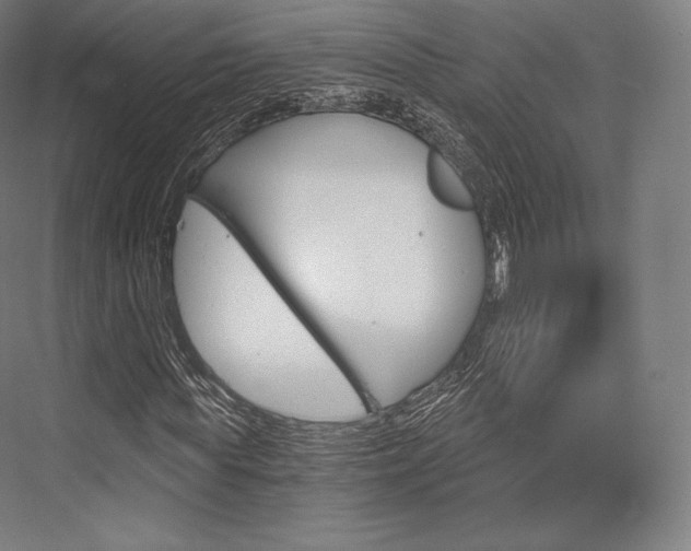 X0000076390819200610060901