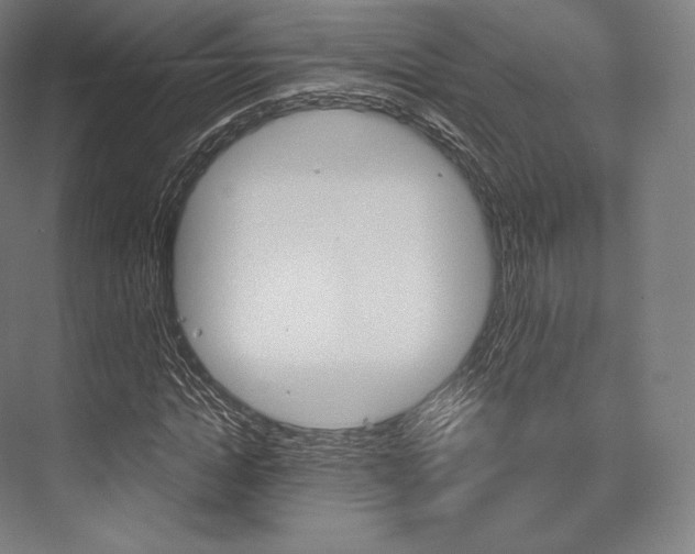 X0000076390822200610060901