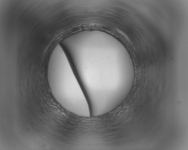 X0000076390823200610060901