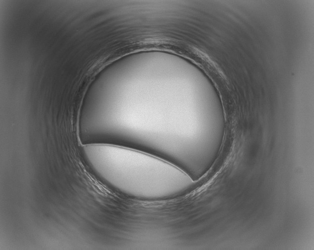 X0000076390825200610060901