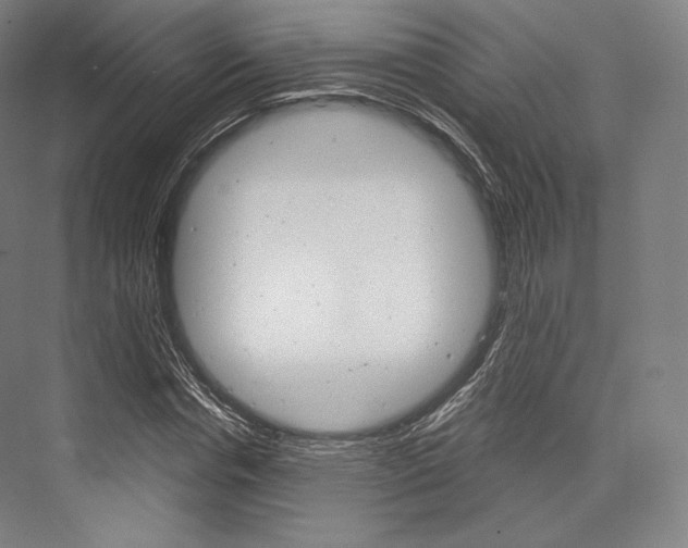 X0000076390826200610060901