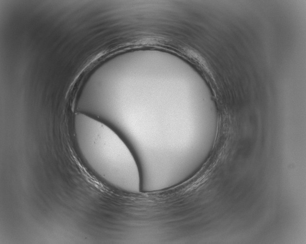 X0000076390827200610060901