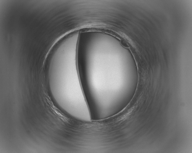 X0000076390830200610060901