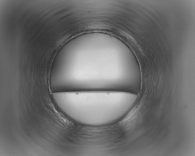 X0000076390833200610060901