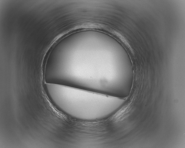 X0000076390837200610060901