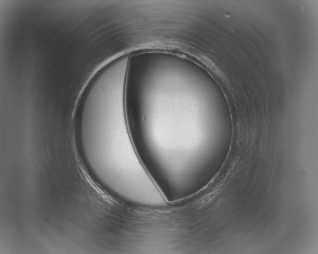 X0000076390838200610060901