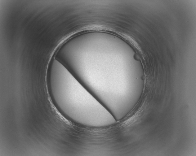 X0000076390839200610060901