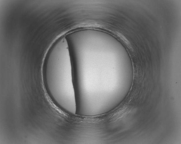 X0000076390840200610060901