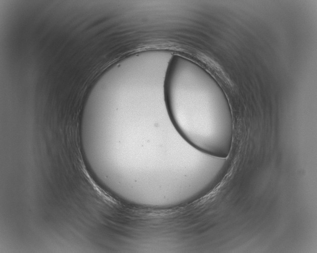 X0000076390841200610060901