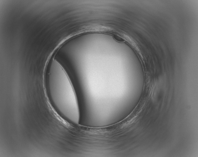 X0000076390843200610060902
