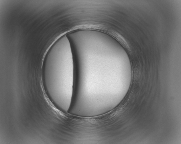 X0000076390844200610060902