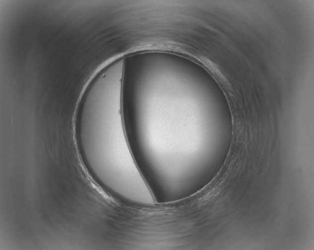 X0000076390846200610060902
