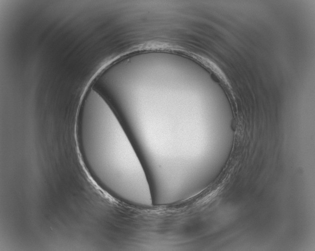 X0000076390847200610060902