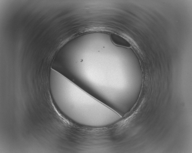 X0000076390849200610060902