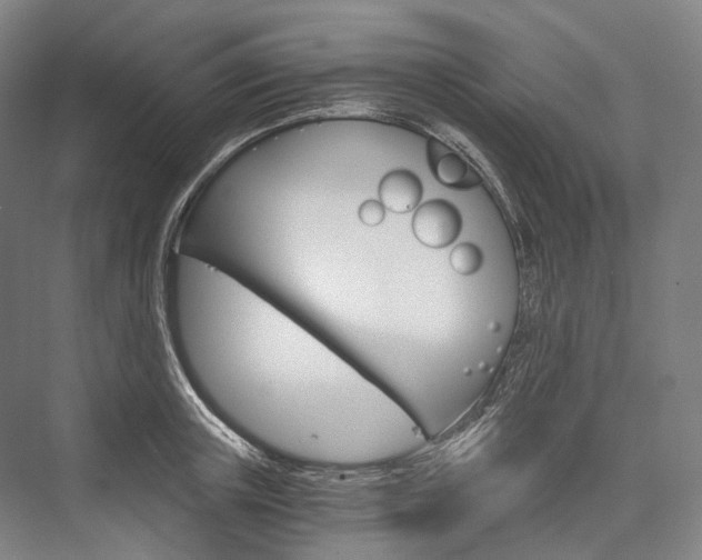 X0000076390851200610060902