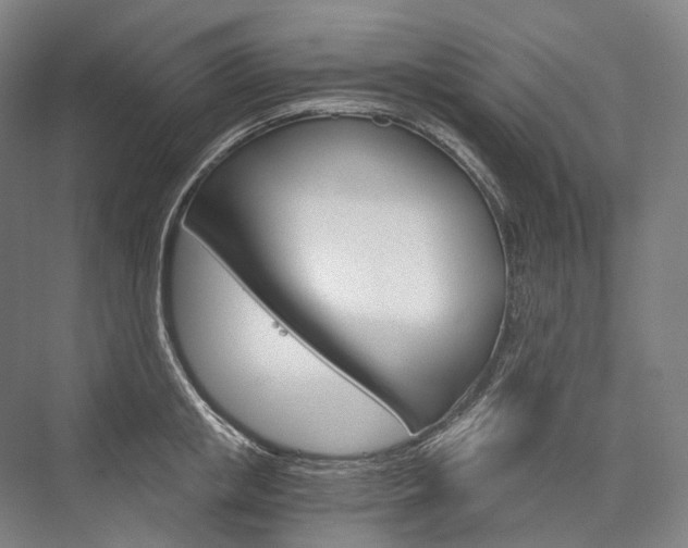 X0000076390853200610060902