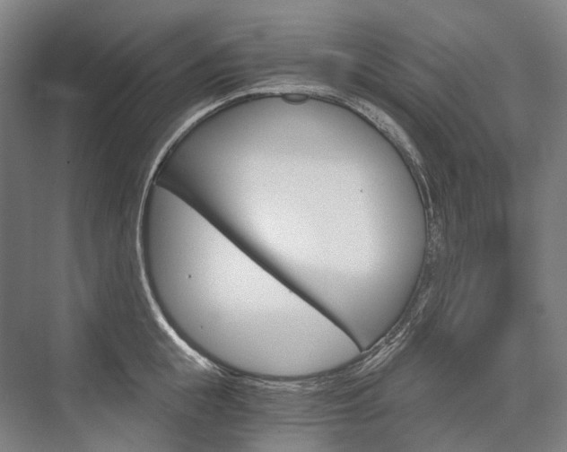 X0000076390855200610060902