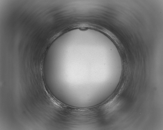 X0000076390857200610060902