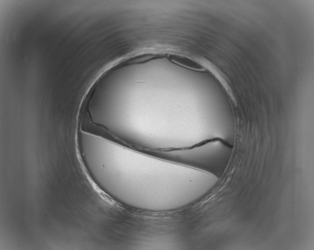 X0000076390861200610060902