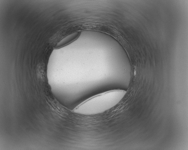 X0000076390867200610060901