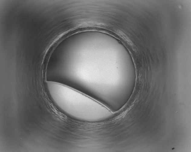 X0000076390877200610060901