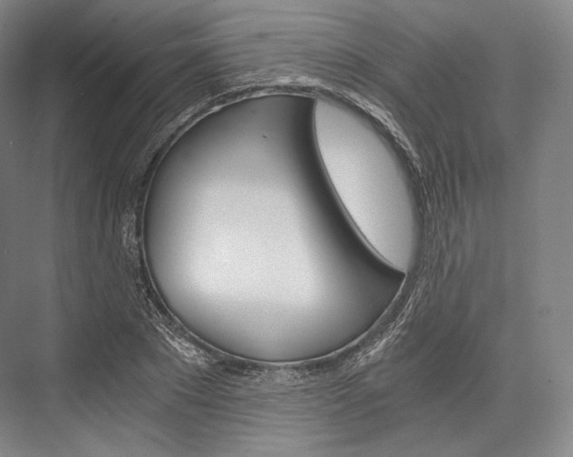 X0000076390881200610060901