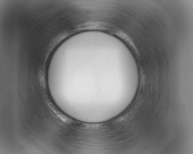 X0000076390882200610060901