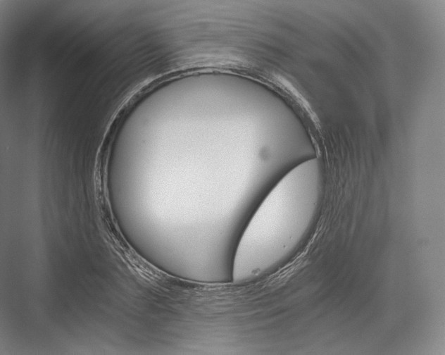 X0000076390883200610060901