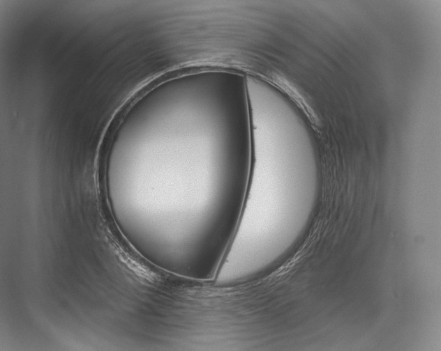 X0000076390884200610060901