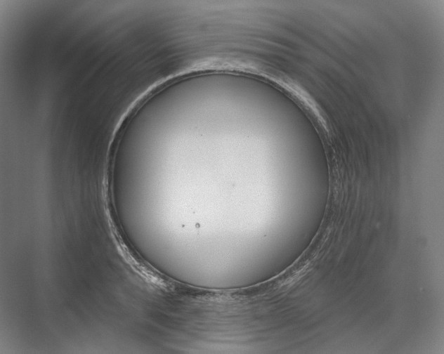X0000076390896200610060901